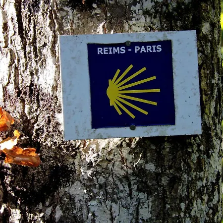 Champagne La Parcelle *